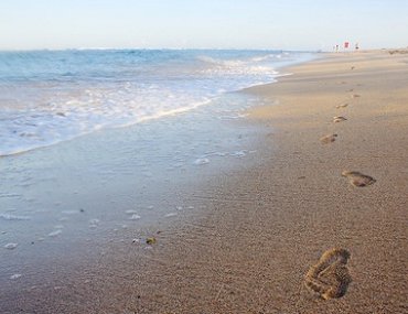 Inkless Hand & Footprint Kits - Sands Bay of Plenty